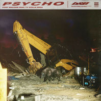 Psycho (CDS) Mp3
