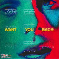 Want You Back (CDS) Mp3