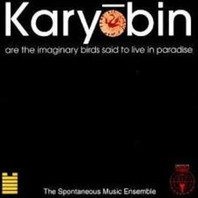 Karyobin (Vinyl) Mp3