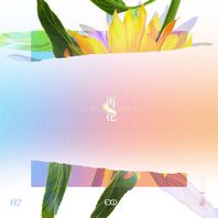 (Re:flower) Project #2 Mp3