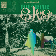 The Invisible World Of Beautify Junkyards Mp3