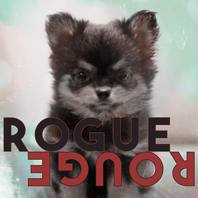 Rogue Rouge Mp3