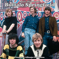 What's That Sound? Complete Albums Collection: Disc 1 - Buffalo Springfield (Mono Mix) Mp3