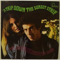 A Trip Down Sunset Strip (Vinyl) Mp3