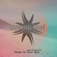 Ocean In Your Eyes Mp3