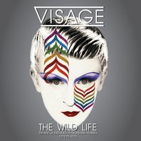 The Wild Life: The Best Of Extended Versions And Remixes 1978 To 2015 Mp3