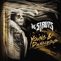 Young & Dangerous Mp3