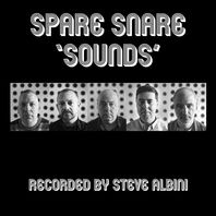 Sounds Recorded By Steve Albini Mp3