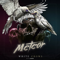 White Crows Mp3