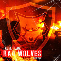 False Flags Volume Two (EP) Mp3