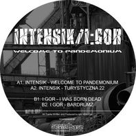 Welcome To Pandemonium (EP) (Vinyl) Mp3