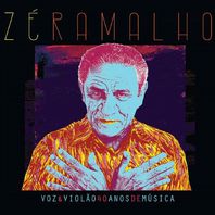 Voz E Violão - 40 Anos De Música CD2 Mp3