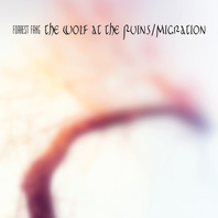 The Wolf At The Ruins / Migration CD1 Mp3