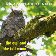 The Owl And The Full Moon Mp3