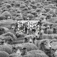 Grey Sheep II (EP) Mp3