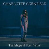 The Shape Of Your Name Mp3