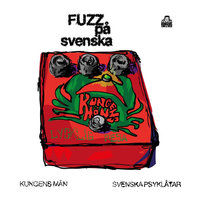 Fuzz På Svenska Mp3
