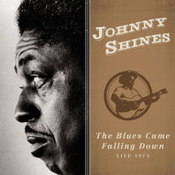 The Blues Came Falling Down (Live 1973) Mp3