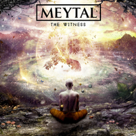 The Witness Mp3