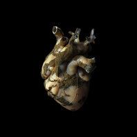 Uranium Heart Mp3
