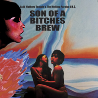 Son Of A Bitches Brew Mp3