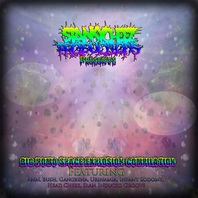 Big Homo Space Explosion Compilation (Split) Mp3