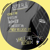 Halle Saale Remixed Mp3