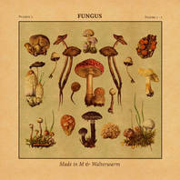 Fungus (With Walterwarm) Mp3