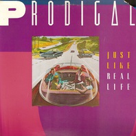 Just Like Real Life (Vinyl) Mp3