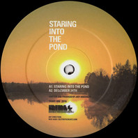Staring Into The Pond (EP) Mp3