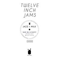 Twelve Inch Jams 004 (With Dusty) (CDS) Mp3