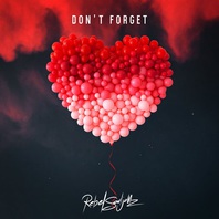 Don't Forget (CDS) Mp3