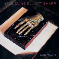 Duo Milano (& Elliott Sharp) Mp3