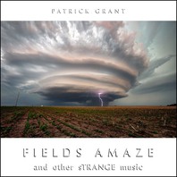 Fields Amaze And Other Strange Music Mp3