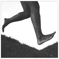 Which Way Is Forward? Mp3