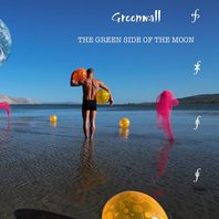 The Green Side Of The Moon Mp3