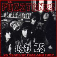 Lsd 25: 25 Years Of Fuzz And Fury Mp3