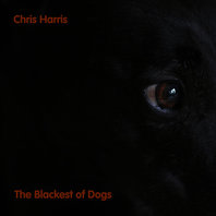 The Blackest Of Dogs Mp3