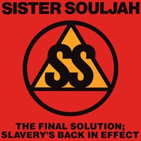 The Final Solution: Slavery's Back In Effect Mp3