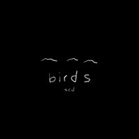 Birds Mp3