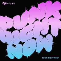 Punk Right Now (CDS) Mp3