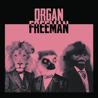 Organ Freeman Mp3