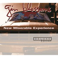 New Miserable Experience (Deluxe Edition) CD1 Mp3
