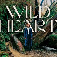 Wild Heart Mp3