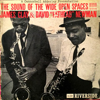The Sound Of The Wide Open Spaces (With David Newman) (Vinyl) Mp3
