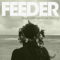 Dove Grey Sands (Acoustic Version) Mp3