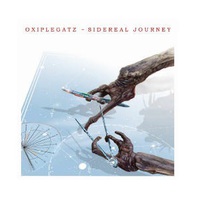 Sidereal Journey Mp3