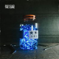 The Cure (CDS) Mp3