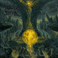 Desolated Realms Through Iniquity Mp3
