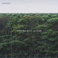 You're Not Alone (CDS) Mp3